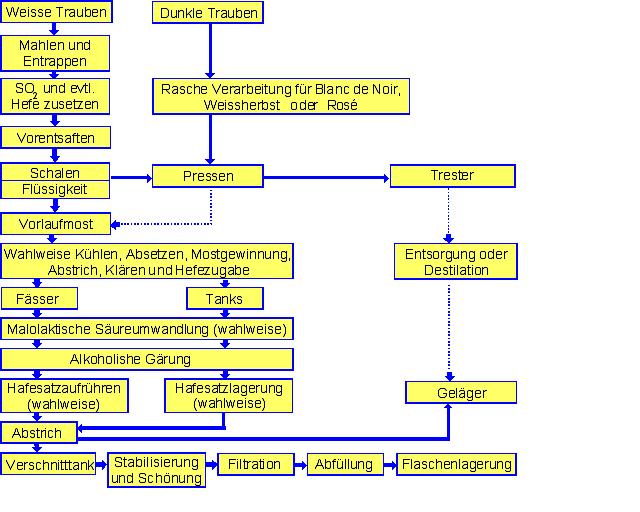 Weissweinherstellung